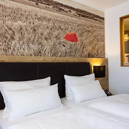 Ringhotel Skreuz Hotell