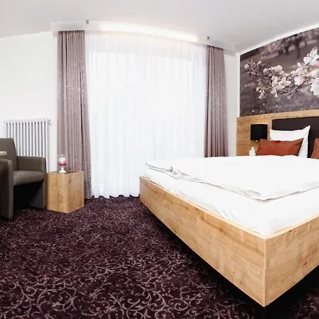 Ringhotel Skreuz Hotell 4*