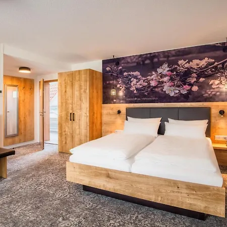 Ringhotel Skreuz 호텔 스타인하임암알부크